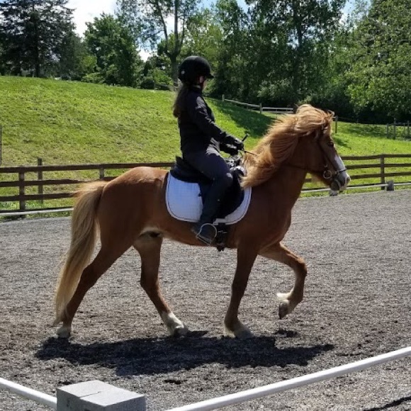 Meet your Posher, Erika - Picture 1 of 1